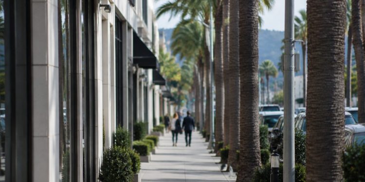 Long-lens view of a palm-lined commercial street of low-rise shops in West Hollywood in neutral daylight, with pedestrians softly blurred.