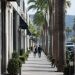 Long-lens view of a palm-lined commercial street of low-rise shops in West Hollywood in neutral daylight, with pedestrians softly blurred.