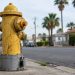 Low-angle close-up of a fire hydrant with a locked steel cover over its bolts on a street of stucco houses and palm trees in Southeast Los Angeles.