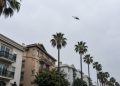 Low-angle view of a helicopter flying above palm trees and apartment buildings along a West Hollywood street in neutral daylight.