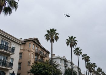 Low-angle view of a helicopter flying above palm trees and apartment buildings along a West Hollywood street in neutral daylight.