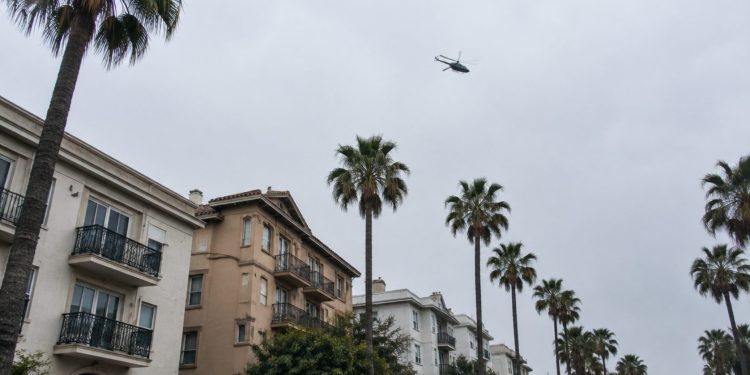 Low-angle view of a helicopter flying above palm trees and apartment buildings along a West Hollywood street in neutral daylight.