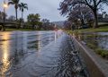 Low-angle view of water running along a wet residential street in Woodland Hills at early-morning twilight, with street lamps lit and houses behind.