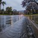 Low-angle view of water running along a wet residential street in Woodland Hills at early-morning twilight, with street lamps lit and houses behind.