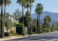 Quiet residential street of large hillside homes and palm trees in Tarzana in neutral morning daylight, seen from a long-lens view down the block.