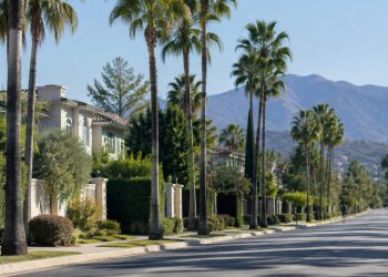 Quiet residential street of large hillside homes and palm trees in Tarzana in neutral morning daylight, seen from a long-lens view down the block.