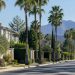 Quiet residential street of large hillside homes and palm trees in Tarzana in neutral morning daylight, seen from a long-lens view down the block.