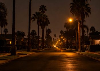 Quiet residential street of older bungalows and palm trees in the California Heights area of Long Beach at night under street lamps.