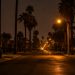 Quiet residential street of older bungalows and palm trees in the California Heights area of Long Beach at night under street lamps.