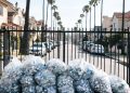 Residential street in the Fairfax District of Los Angeles with trash bags and plastic bottles piled beside a fence, palm trees blurred behind.