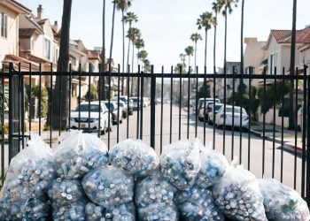 Residential street in the Fairfax District of Los Angeles with trash bags and plastic bottles piled beside a fence, palm trees blurred behind.