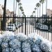 Residential street in the Fairfax District of Los Angeles with trash bags and plastic bottles piled beside a fence, palm trees blurred behind.