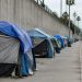 Row of tents along a sidewalk beside a concrete freeway retaining wall in San Diego in neutral daylight, seen with a long lens down the block.