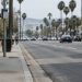 Sunset Boulevard in West Hollywood in neutral daylight, with a concrete bus pad beside patched asphalt, palm trees and low-rise buildings along the roadway.