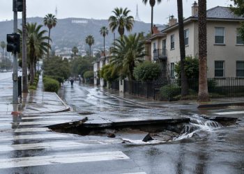 Wet Hollywood intersection with a damaged crosswalk and water running down a side street of palm trees and older apartments in morning daylight.