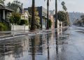 Wet asphalt and sidewalks along a Silver Lake street lined with palm trees and low-rise buildings in morning daylight after a water main break.