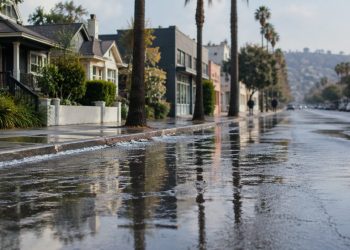 Wet asphalt and sidewalks along a Silver Lake street lined with palm trees and low-rise buildings in morning daylight after a water main break.