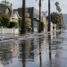 Wet asphalt and sidewalks along a Silver Lake street lined with palm trees and low-rise buildings in morning daylight after a water main break.