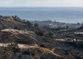 Wide telephoto view of fire-scarred chaparral hillsides above Pacific Palisades and the Pacific Ocean in neutral daylight.