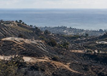 Wide telephoto view of fire-scarred chaparral hillsides above Pacific Palisades and the Pacific Ocean in neutral daylight.