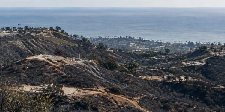 Wide telephoto view of fire-scarred chaparral hillsides above Pacific Palisades and the Pacific Ocean in neutral daylight.