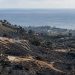 Wide telephoto view of fire-scarred chaparral hillsides above Pacific Palisades and the Pacific Ocean in neutral daylight.