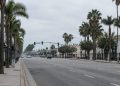 Wide view of an empty Southern California boulevard lined with palm trees and a traffic signal in neutral daylight, illustrating a fatal off-duty crash.
