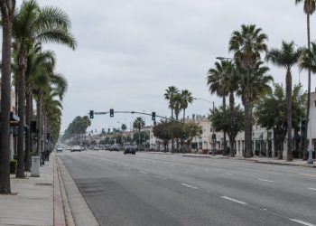 Wide view of an empty Southern California boulevard lined with palm trees and a traffic signal in neutral daylight, illustrating a fatal off-duty crash.