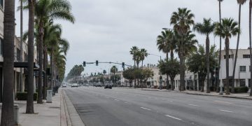 Wide view of an empty Southern California boulevard lined with palm trees and a traffic signal in neutral daylight, illustrating a fatal off-duty crash.