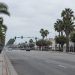 Wide view of an empty Southern California boulevard lined with palm trees and a traffic signal in neutral daylight, illustrating a fatal off-duty crash.