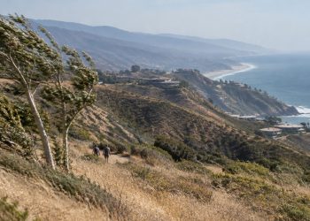 Wide view of dry golden chaparral hillsides in the Santa Monica Mountains above Malibu, with grasses bent by wind in daylight and hazy ridgelines beyond.