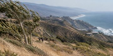 Wide view of dry golden chaparral hillsides in the Santa Monica Mountains above Malibu, with grasses bent by wind in daylight and hazy ridgelines beyond.
