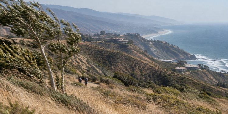 Wide view of dry golden chaparral hillsides in the Santa Monica Mountains above Malibu, with grasses bent by wind in daylight and hazy ridgelines beyond.