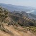 Wide view of dry golden chaparral hillsides in the Santa Monica Mountains above Malibu, with grasses bent by wind in daylight and hazy ridgelines beyond.