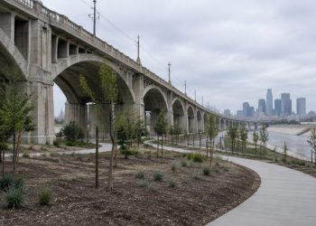 Wide view of newly graded park grounds with young trees and paved paths beneath the arched concrete spans of a large Los Angeles viaduct in daylight.
