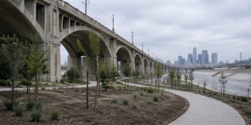 Wide view of newly graded park grounds with young trees and paved paths beneath the arched concrete spans of a large Los Angeles viaduct in daylight.